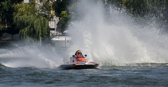 体总：占旭刚任举重摔跤柔道中心主任，王励勤任乒羽中心副主任